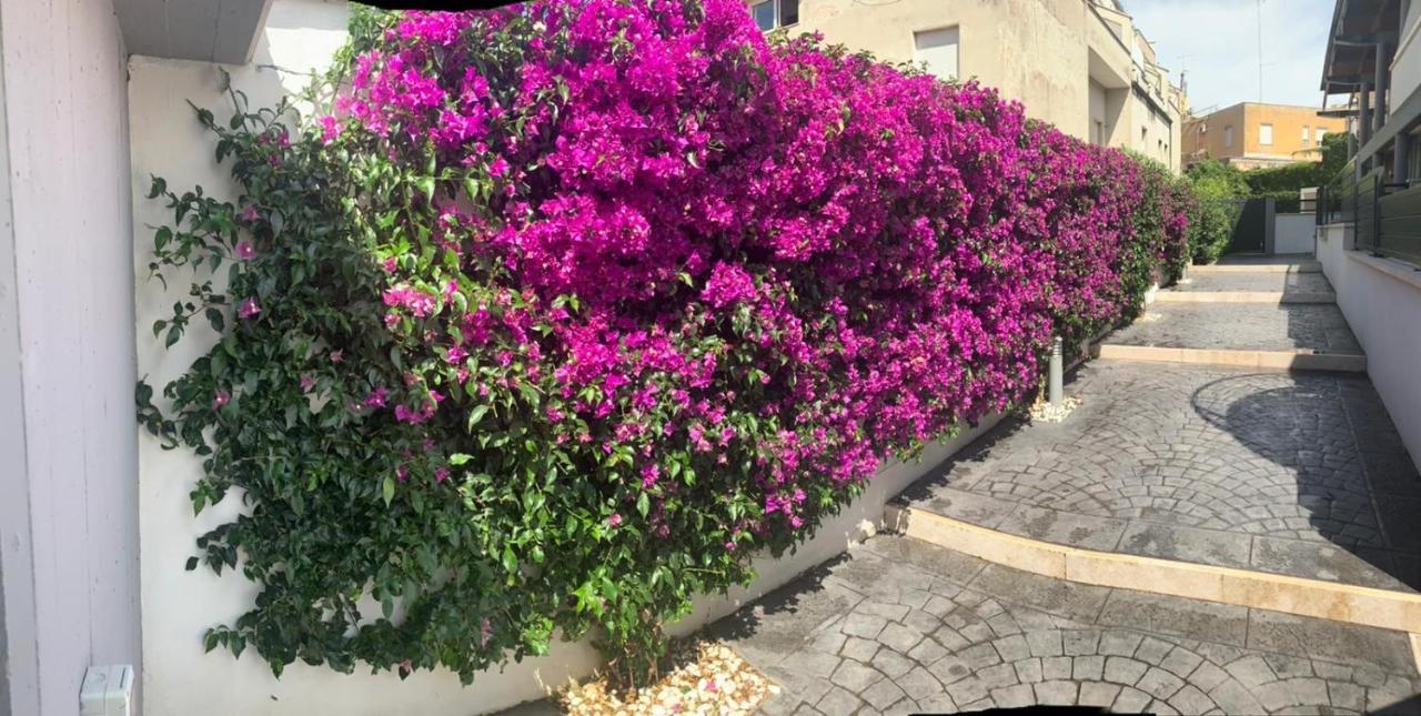 The Shabby House - Charming Seaside Retreat In Central Anzio, Steps From Beach And Train Station Exteriér fotografie